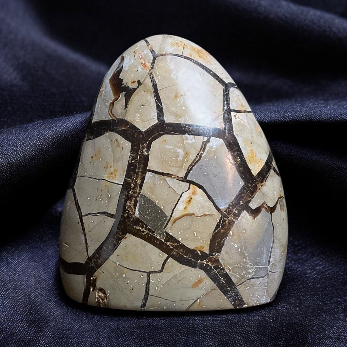 Septarian Dragon Free Form